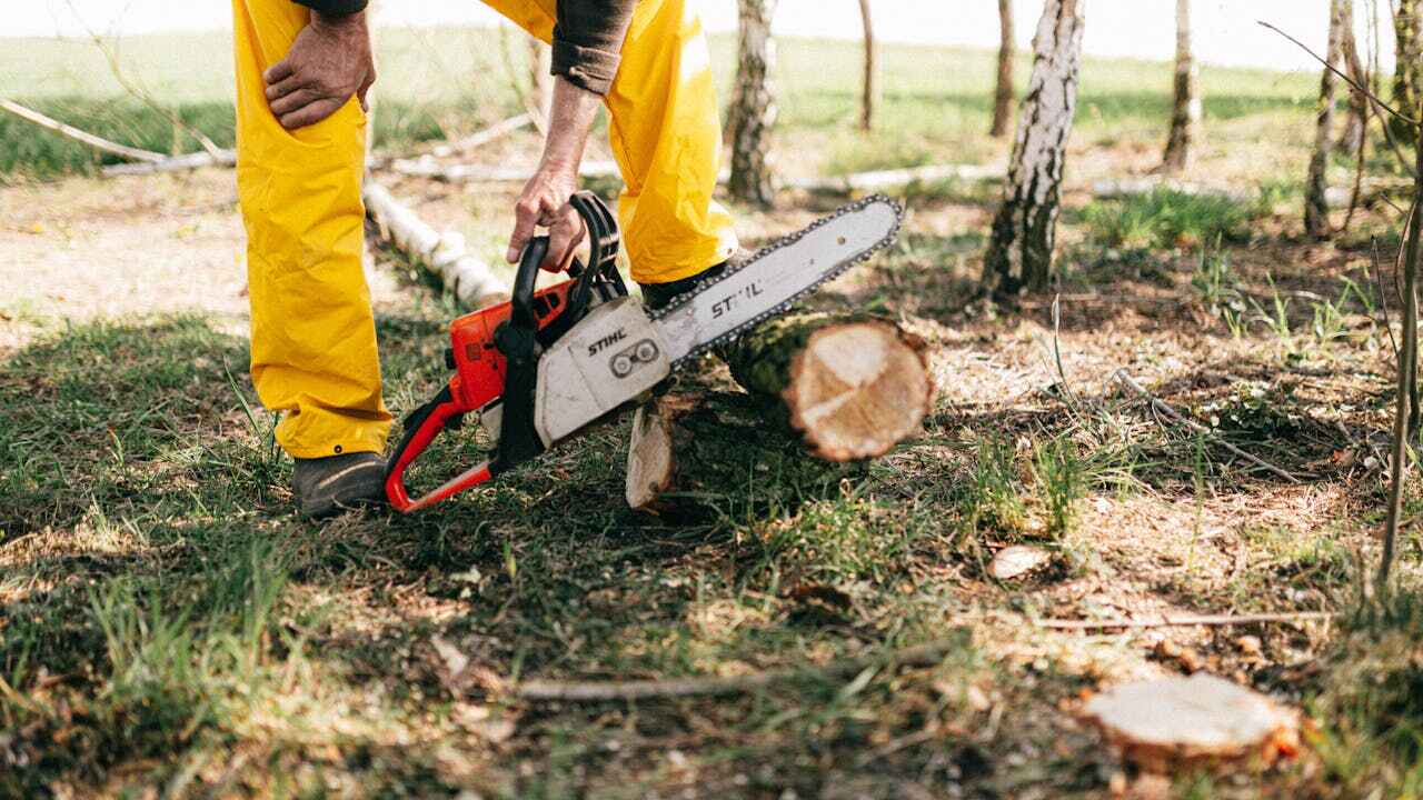  Byrnes Mill, MO TreeGuard Tree Service Pros